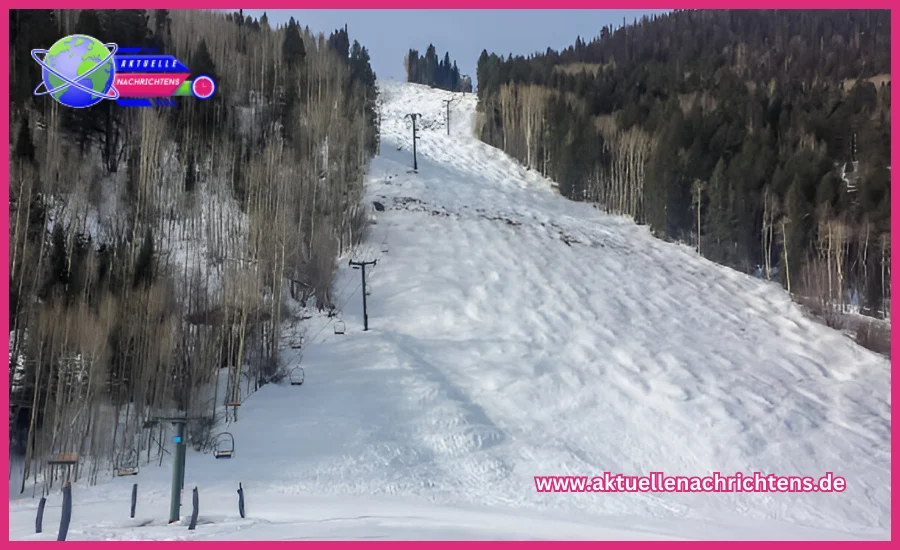 skispringen willingen