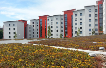 des hohen Lichteinfalls